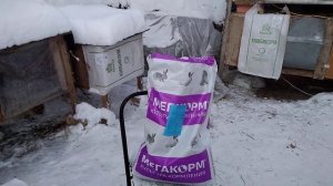 Какой комбикорм лучше выбрать для кроликов
