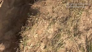 Скважина под погружной насос на чистый песок.