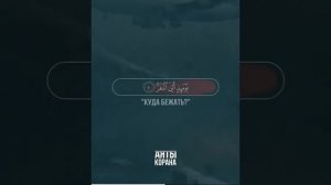 Аль Кийама Nasser al Qatami  |  ناصر القطامي