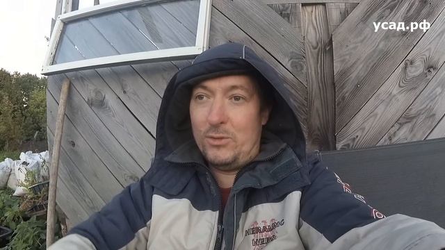 НАДОЕЛИ ТВОИ САЖЕНЦЫ | РАНЬШЕ БЫЛО ЛУЧШЕ | КОСТЯ УЖЕ НЕ ТОТ смотреть онлайн