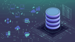 Базы данных