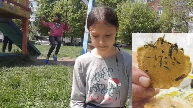 Топ-6 самые странные и необычные блюда в мире