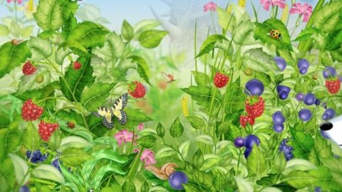 Видеолекция Ориентирование по местным признакам