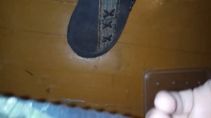 Винный бражник гусеницы