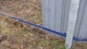 Доработка забора ,чтоб собаки не забегали к нам и наша собака не выбегала на дорогу