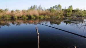 поселок Озерки, Тверская область