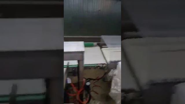 ПРОИЗВОДСТВЕННАЯ ЛИНИЯ ПО ПЕРЕРАБОТКЕ РЫБЫ — СОСТОЯНИЕ НОВОЙ