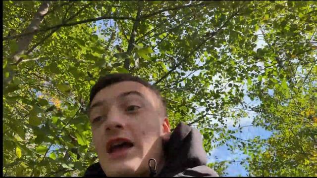 ПОЕЗДКА В ЛЕС НАПАДЕНИЕ БЫКОВ смотреть онлайн