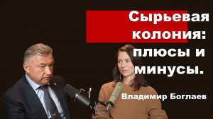 Владимир Боглаев/Интервью Катерине Кирбиревой: Сырьевая колония: плюсы и минусы.