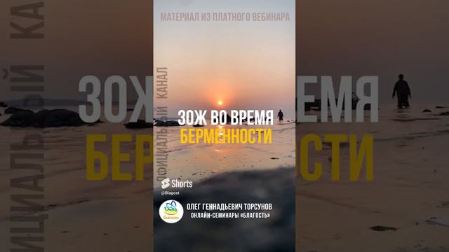 ЗДОРОВЫЙ ОБРАЗ ЖИЗНИ ВО ВРЕМЯ БЕРЕМЕННОСТИ. Олег Геннадьевич Торсунов