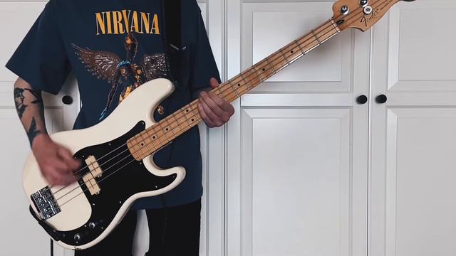 Narrow Head - T.W.I.N. (bass cover) смотреть онлайн