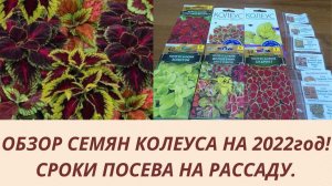 ОБЗОР СЕМЯН КОЛЕУСА НА 2022 год. СРОКИ ПОСЕВА НА РАССАДУ.ПОЧЕМУ ВСЕГДА СЕЮ РАНО?