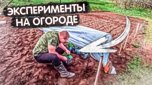 Супер огород мечты в котором надо выжить, эксперементы