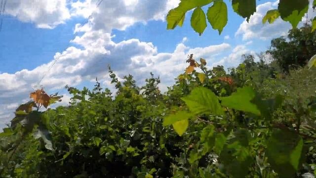 Эндуро покатушки в Сторожевое 4K