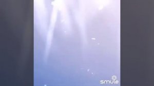 Раненая птица.Караоке