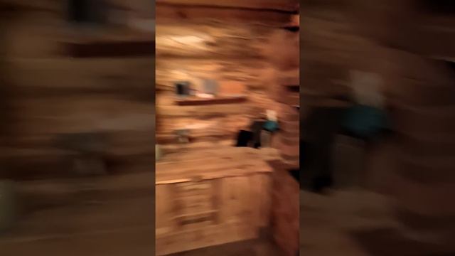 Дубки или Русская усадьба место куда можно с собакой! смотреть онлайн