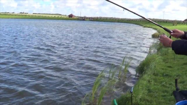 Ловля карпа и сазана на пикер, фидер и флэт-фидер. Веселые моменты (25+) смотреть онлайн