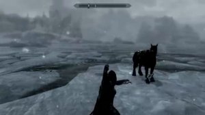 Skyrim Bugs: Dual Flurry