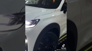 HAVAL H6S