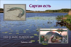 Карась, сарган, что их объединяет