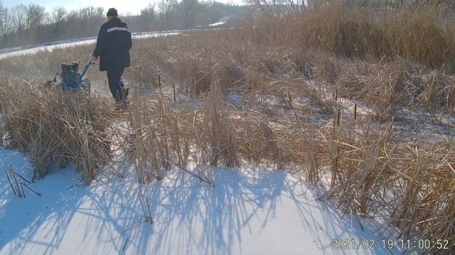 Борьба с камышом. смотреть онлайн