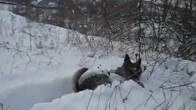 начало зимы смотреть онлайн