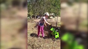 Садовый измельчитель ДРОВОСЕК электрический на 220В. В наличии! Звоните 8-913-007-54-84.