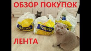 ОБЗОР ЦЕН ПРОДУКТОВ _ МАГАЗИН ЛЕНТА _ ЗАКУПКА ПРОДУКТОВ НА 5000 рублей ДО ПОДОРОЖАНИЯ