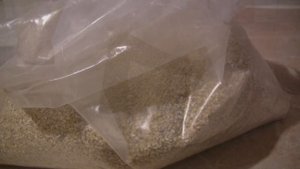 Основа для прикормки из гороха и сечки на крупного леща и карася