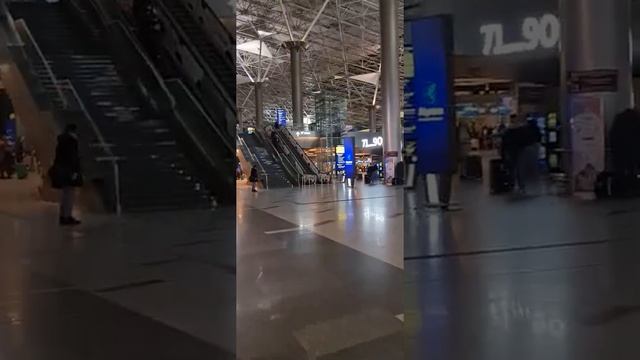 Как мы сняли квартиру в Москве через Яндекс.Аренда. Спойлер: легко и просто. Часть 1