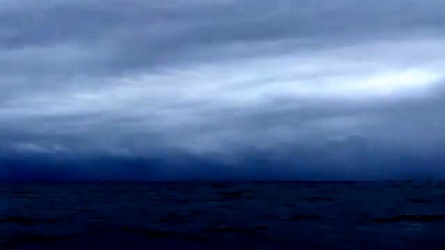 Chaotic twin sailfish with The Tackle Box Shelley Beach смотреть онлайн