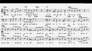 PAPATYA GİBİSİN--(TANGO)--Am--:Accordeon,Flute,Violin,Guitar,Melodica,Keyboard.