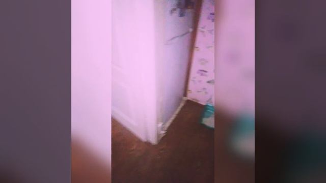 Vlog//Сонный день сегодня... ??? смотреть онлайн