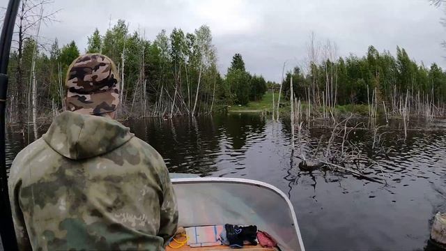 Тайга ч.4 Огромная ЩУКА КРОКОДИЛ! Настоящая РЫБАЛКА! в Усть-Илимске! ЛОСЕНОК переплывает реку! ЛАЙК