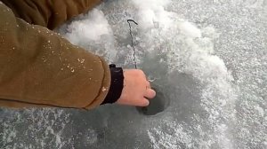 Ловля на косынку. Ячменка, Ивановская область.