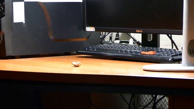 Моя новая КАМЕРА!!! смотреть онлайн