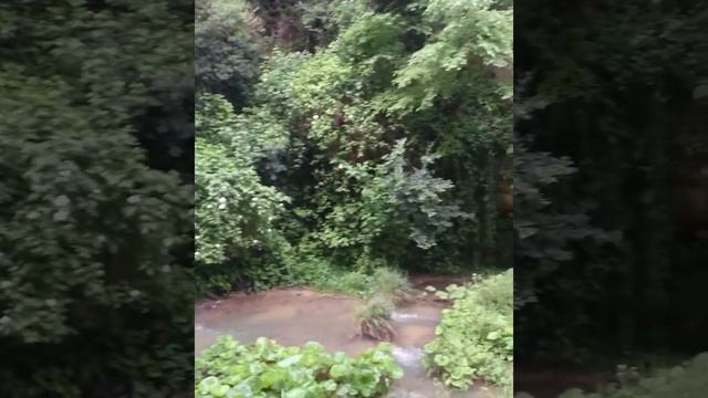 Водопады. Вилла Грегориана. Тиволи. смотреть онлайн