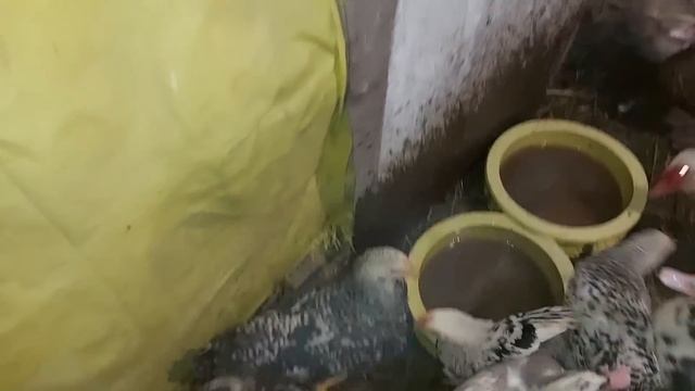 Постоянная тема. Надеюсь объяснил.