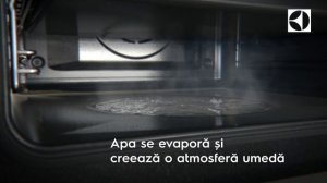 Electrolux PlusSteam (2019) | FLANCO