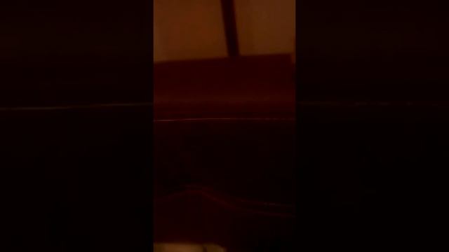 Жизнь моих животных часть 5 смотреть онлайн