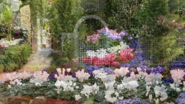 КАК СОЗДАТЬ ЦВЕТОЧНЫЕ КОМПОЗИЦИИ ДЛЯ САДА И ДАЧИ / FLOWER arrangements in the garden ? смотреть онлайн