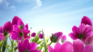 Притча: "Так будет не всегда"