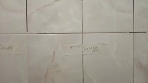 муки выбора или какой цвет затирки выбрать.