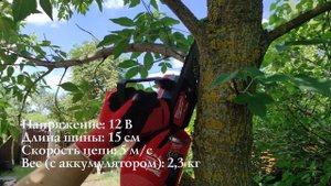 Тест цепной пилы Milwaukee