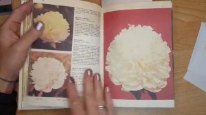 Книги о пионах 2. Пионы. Альбом- справочник 1985г. Н.Я. Ипполитова, М.Ю. Васильева.