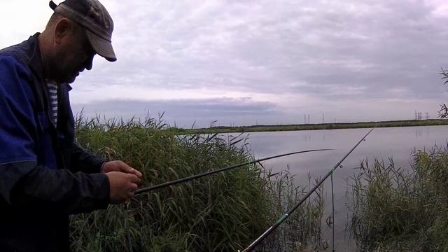 Ловим карасей на озере. смотреть онлайн