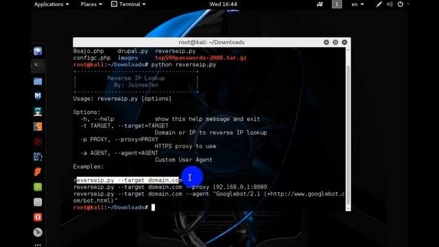 Reverse Ip Domain Lookup  (Python)