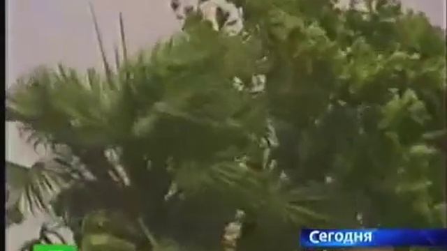 Тайвань. Бушуют тайфуны смотреть онлайн