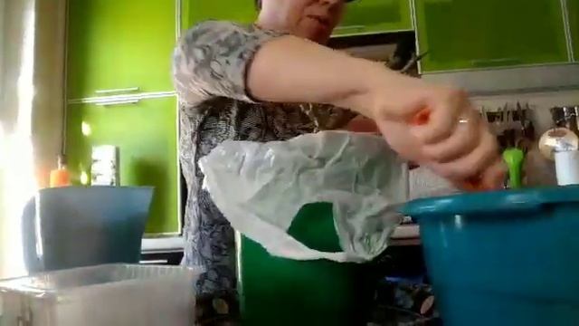 Как сохранить розу до высадки в грунт