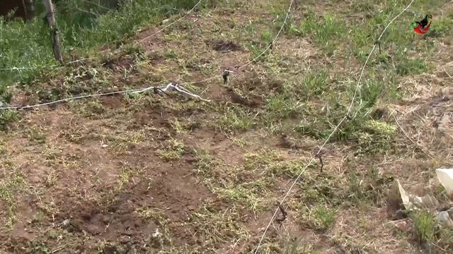 95. Настала очередь суперхотов! смотреть онлайн